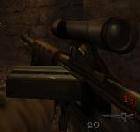 para.jpg (6475 bytes)