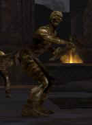 shield.jpg (3755 bytes)