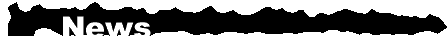 horiznewsborder.GIF (1007 bytes)